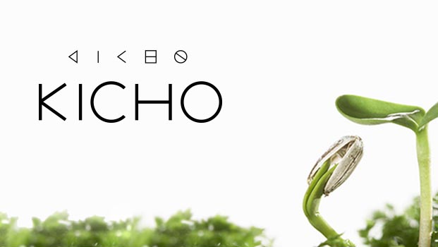 Kicho Kicho